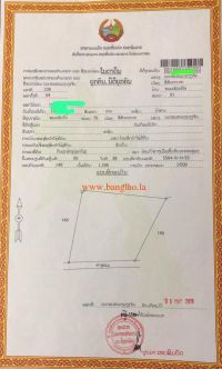T00241